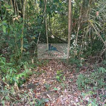 Fazenda em Porto Nacional, bairro Setor Central