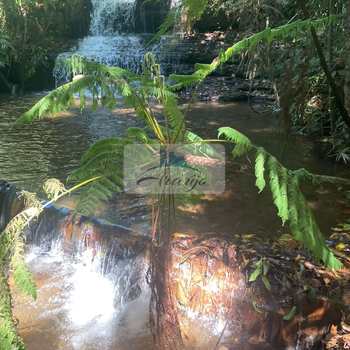 Fazenda em Porto Nacional, bairro Setor Central