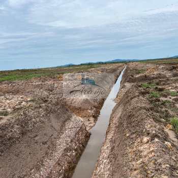Fazenda em Lagoa da Confusão, bairro Zona Rural