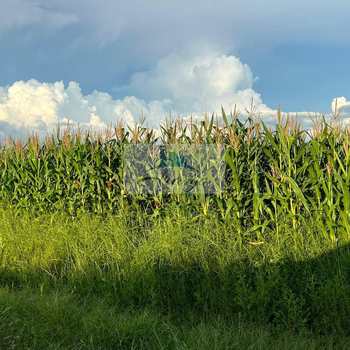 Fazenda em Lagoa da Confusão, bairro Zona Rural