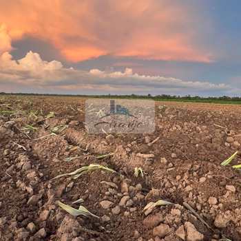 Fazenda em Lagoa da Confusão, bairro Zona Rural