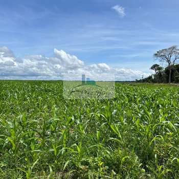 Fazenda em Lagoa da Confusão, bairro Zona Rural
