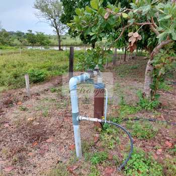 Fazenda em Divinópolis do Tocantins, bairro Setor Central