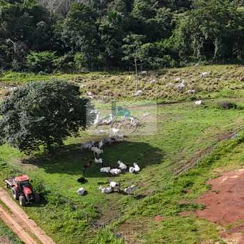 Chácara em Aparecida do Rio Negro, bairro Aparecida do Rio