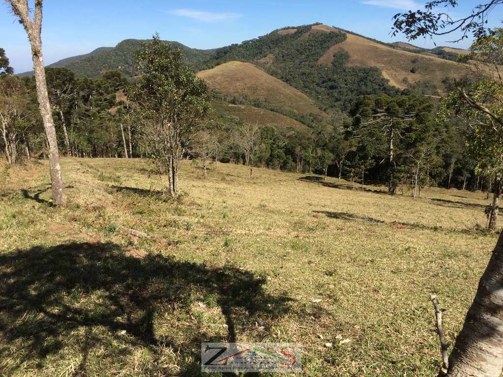 Sítio em Santo Antônio do Pinhal, no bairro Centro