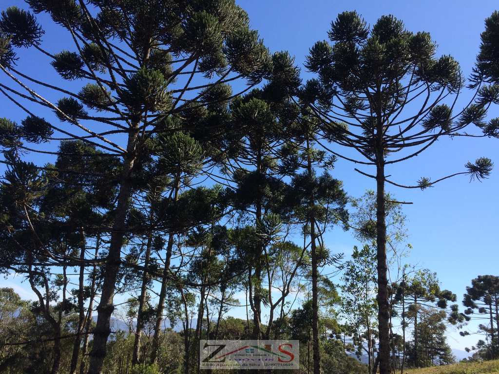 Sítio em Santo Antônio do Pinhal, no bairro Centro
