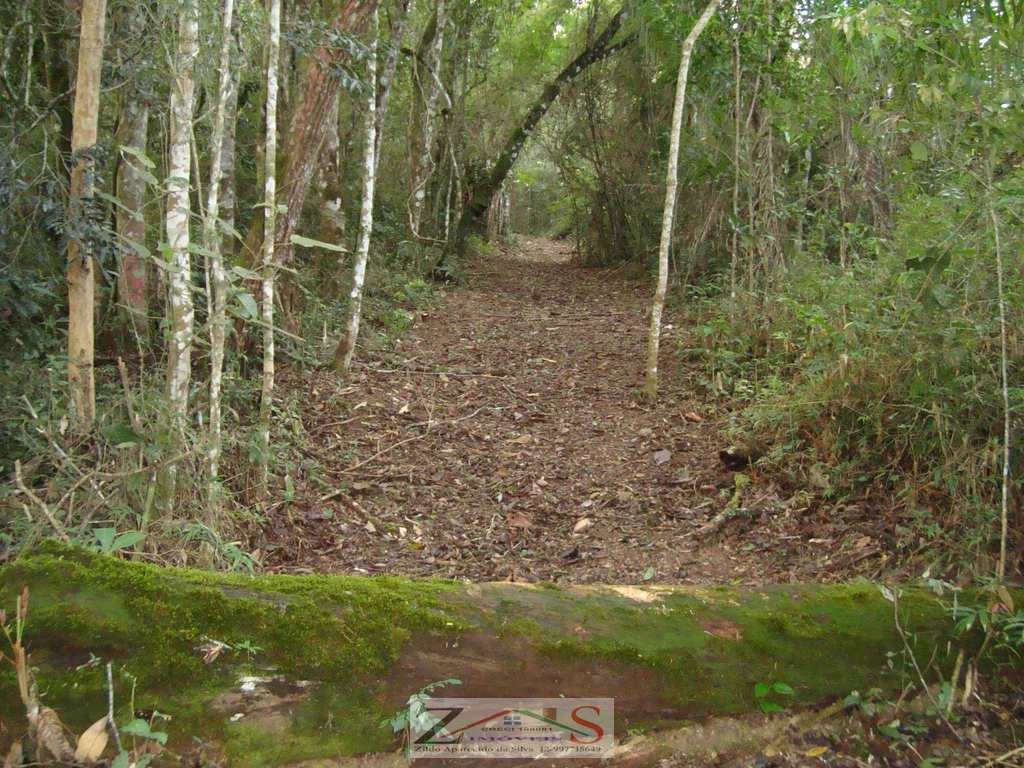 Sítio em Santo Antônio do Pinhal, no bairro Barreiro