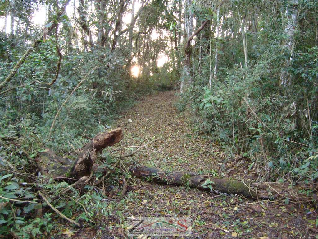 Sítio em Santo Antônio do Pinhal, no bairro Barreiro