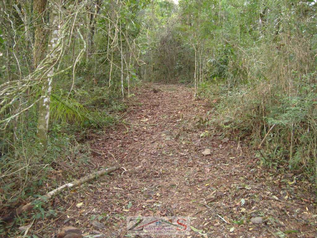 Sítio em Santo Antônio do Pinhal, no bairro Barreiro