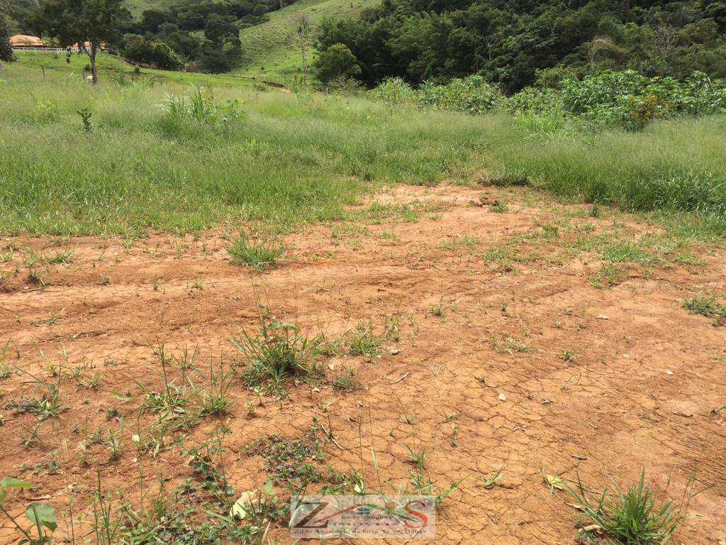 Terreno Rural em Santo Antônio do Pinhal, no bairro Cachoeira