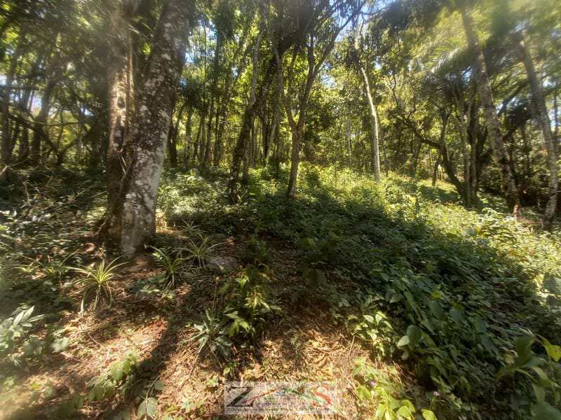 Terreno em Santo Antônio do Pinhal, no bairro 2 Km