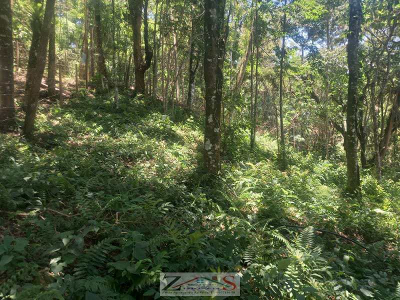 Terreno em Santo Antônio do Pinhal, no bairro 2 Km