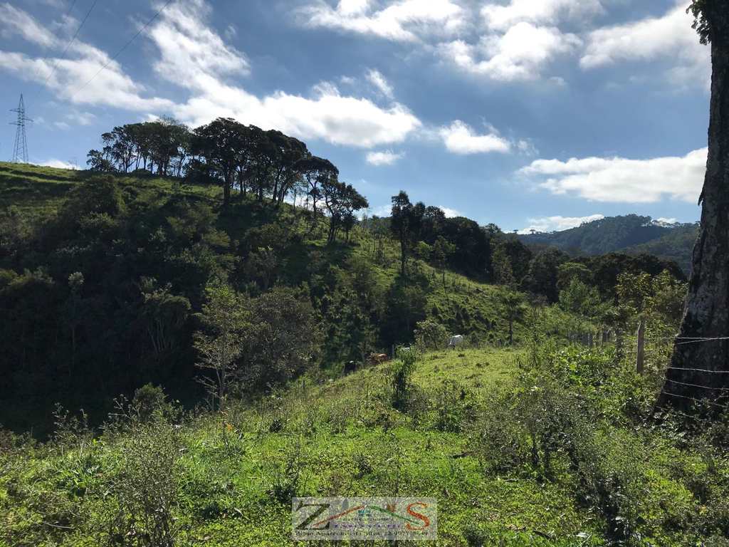 Sítio em Santo Antônio do Pinhal, no bairro Centro