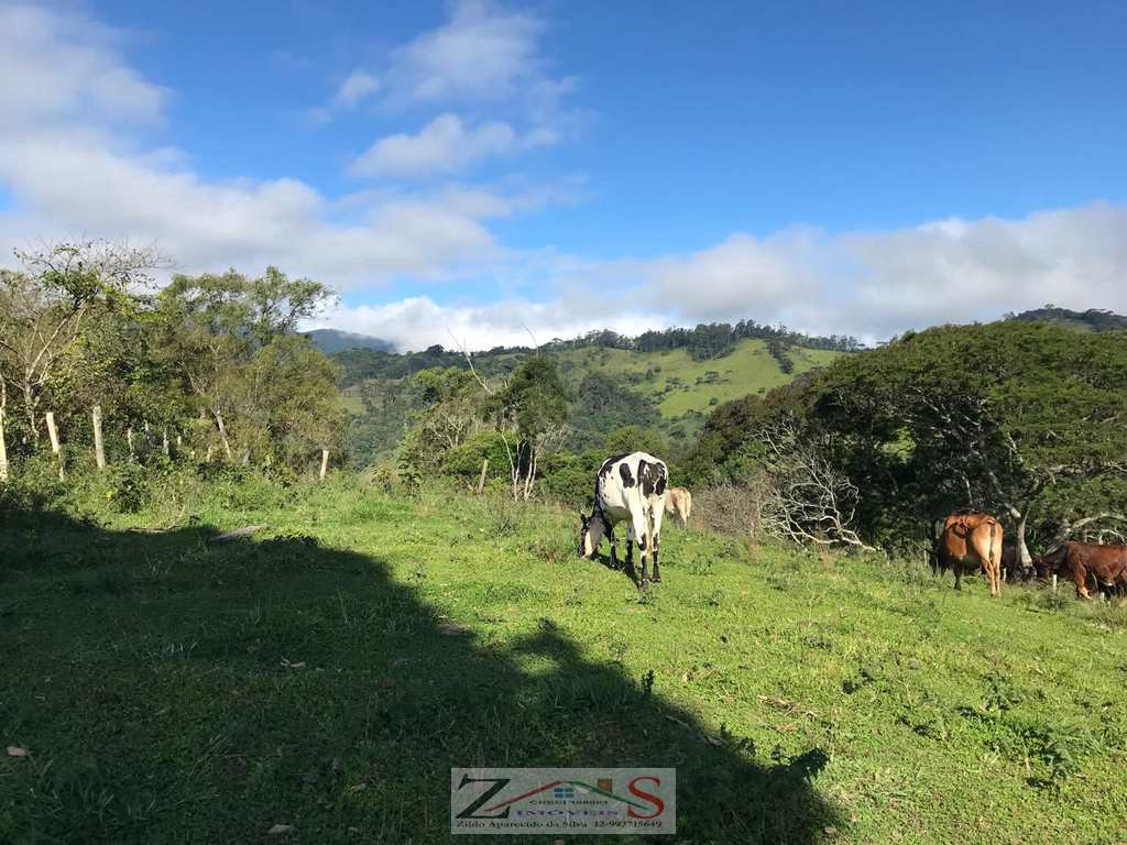 Sítio em Santo Antônio do Pinhal, no bairro Centro