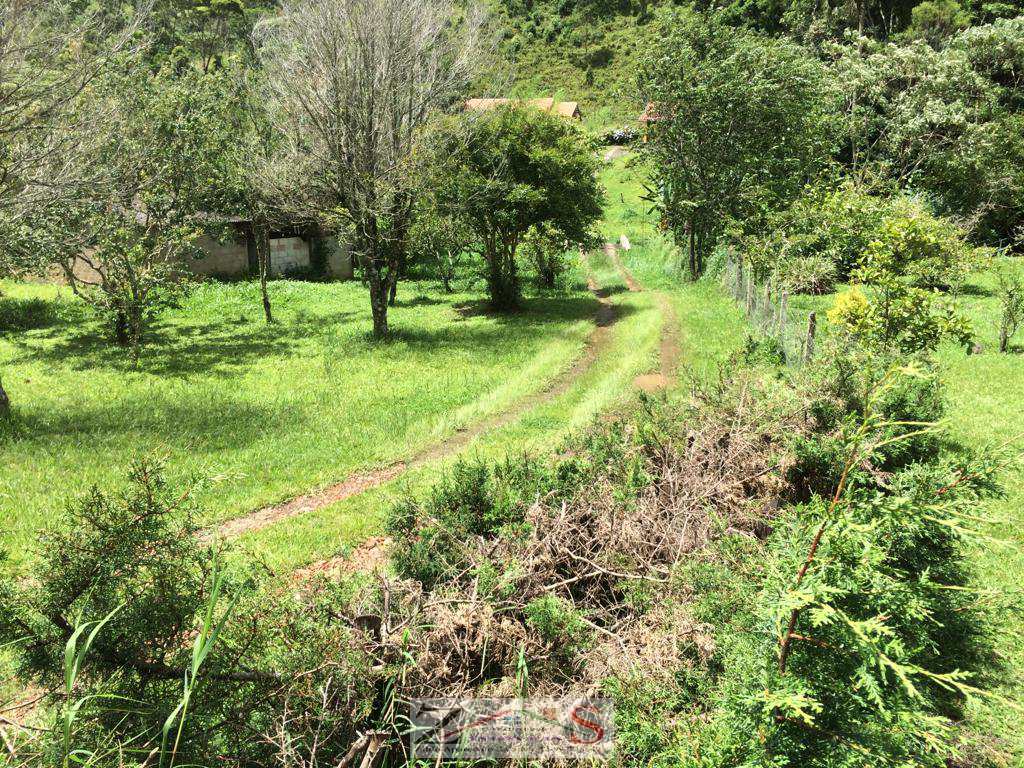 Sítio em Santo Antônio do Pinhal, no bairro 2 Km