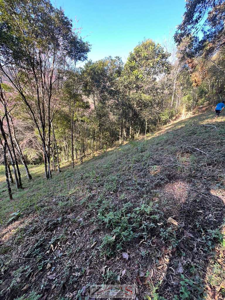 Terreno em Santo Antônio do Pinhal, no bairro 2 Km