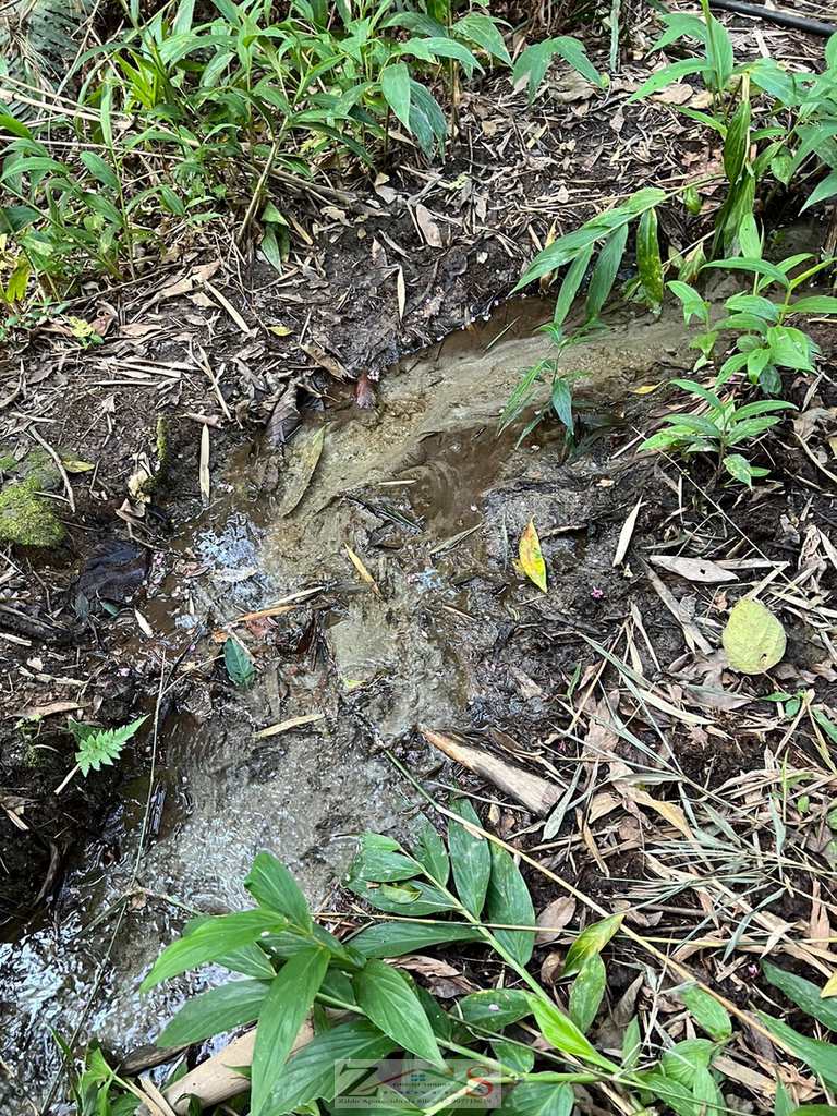 Terreno em Santo Antônio do Pinhal, no bairro 2 Km