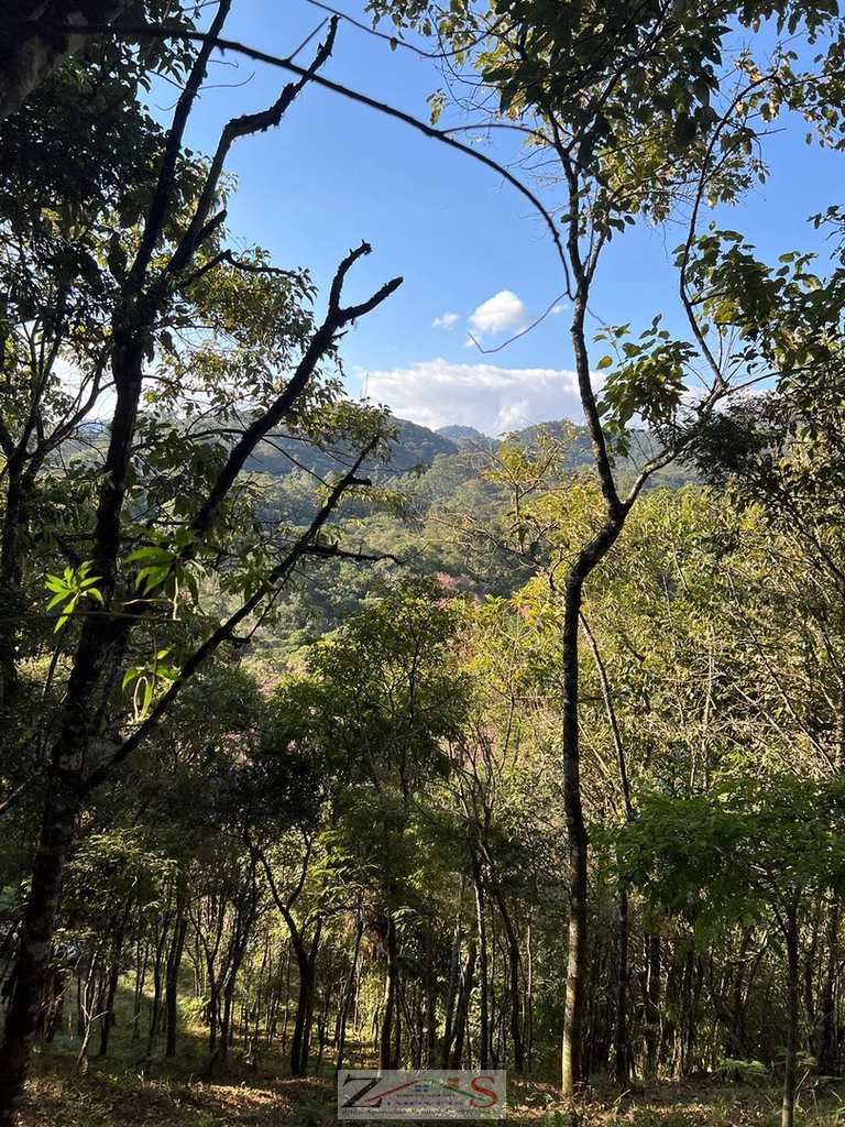 Terreno em Santo Antônio do Pinhal, no bairro 2 Km
