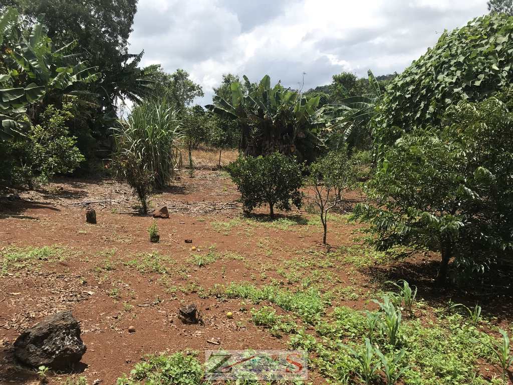 Chácara em Santo Antônio do Pinhal, no bairro 13 Km