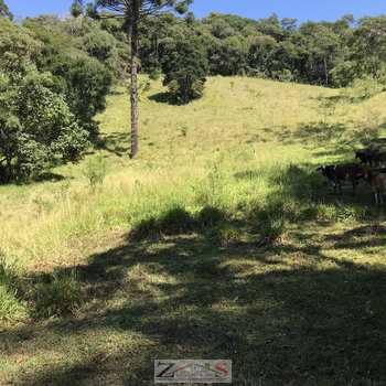 Sítio em Santo Antônio do Pinhal, bairro 2 Km