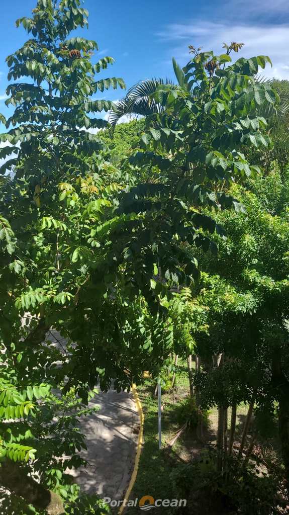 Sobrado em Itanhaém, no bairro Praia do Sonho