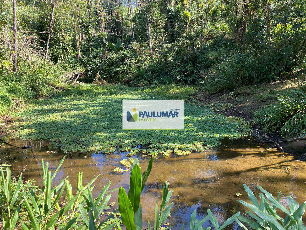 Fazenda à venda com 4 quartos, 57000m² - Foto 35