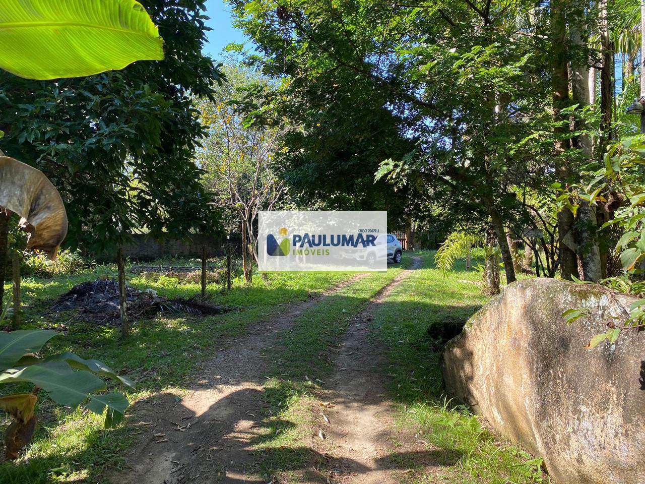 Fazenda à venda com 4 quartos, 57000m² - Foto 39