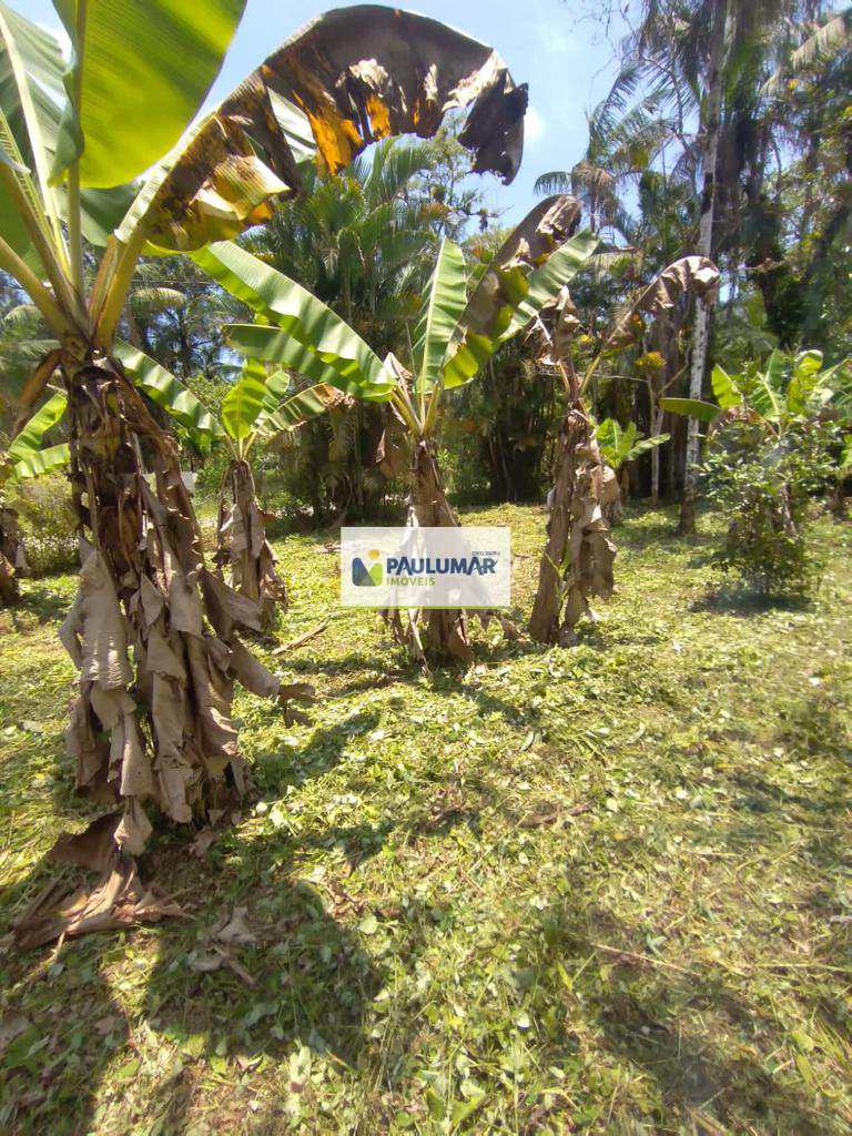 Fazenda-Sítio-Chácara, 1000 m² - Foto 4