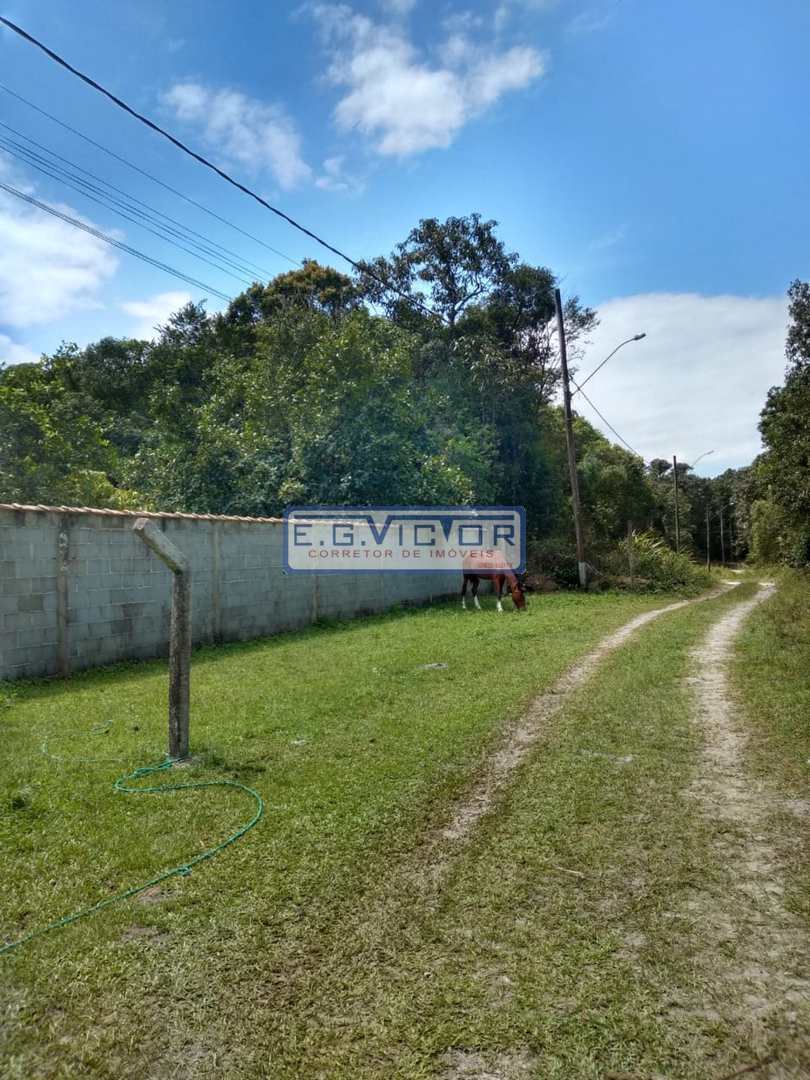 Fazenda à venda com 2 quartos, 1m² - Foto 30