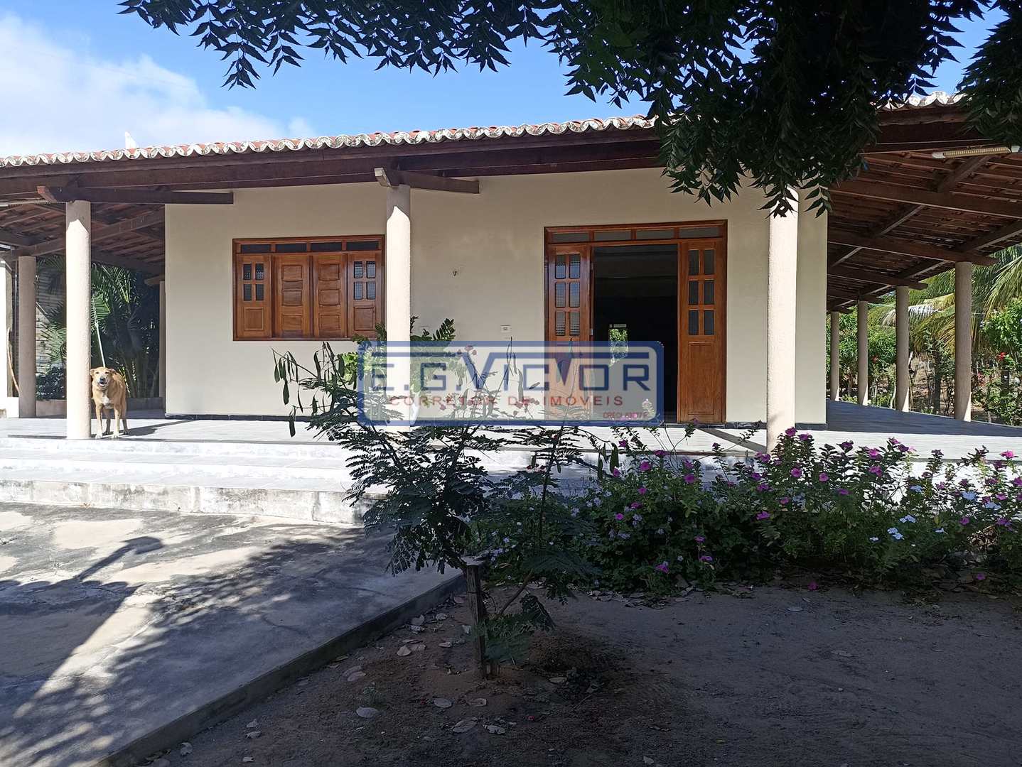 Fazenda à venda com 3 quartos, 150m² - Foto 3