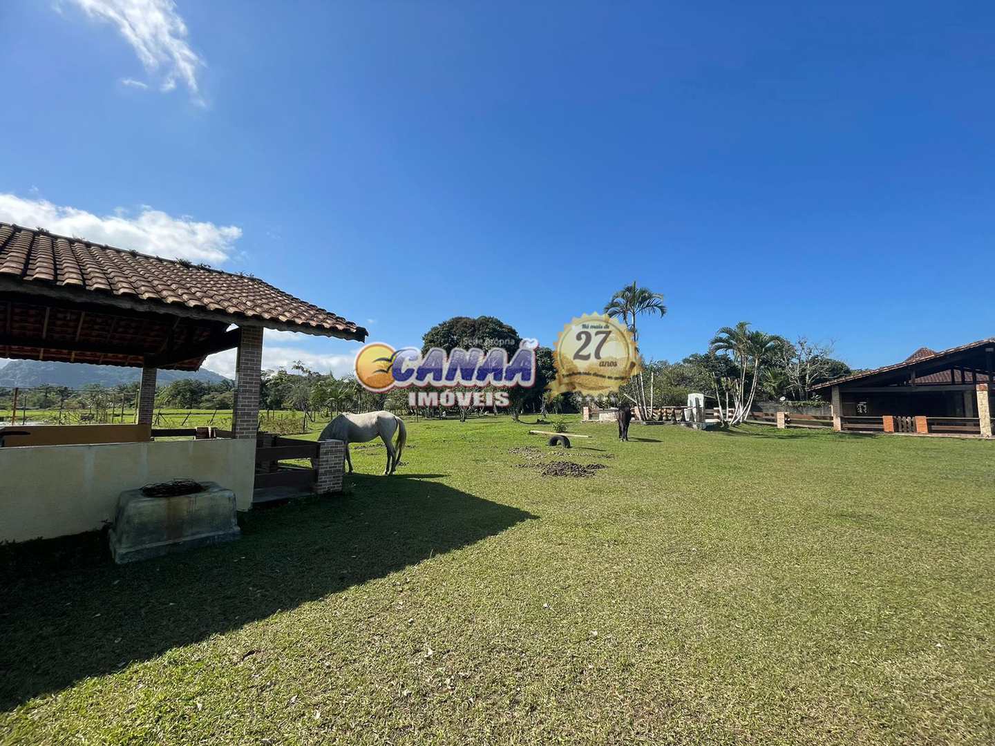 Fazenda à venda com 3 quartos, 24000m² - Foto 31