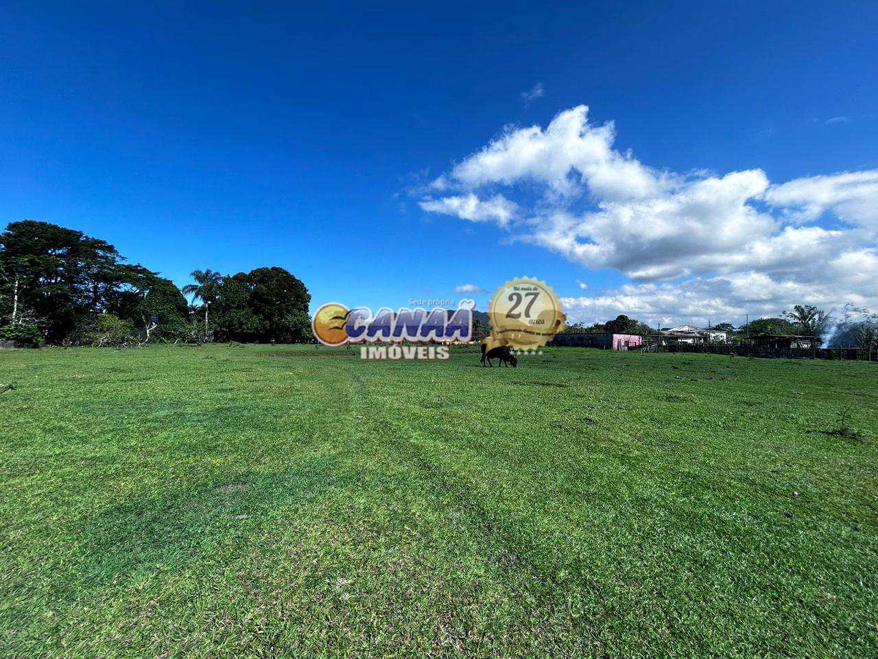 Fazenda à venda com 3 quartos, 24000m² - Foto 73