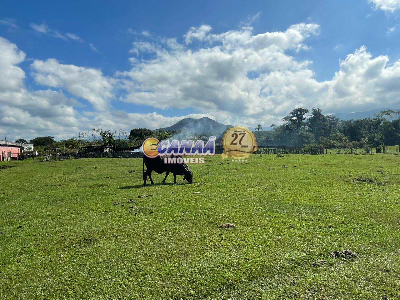 Fazenda à venda com 3 quartos, 24000m² - Foto 67