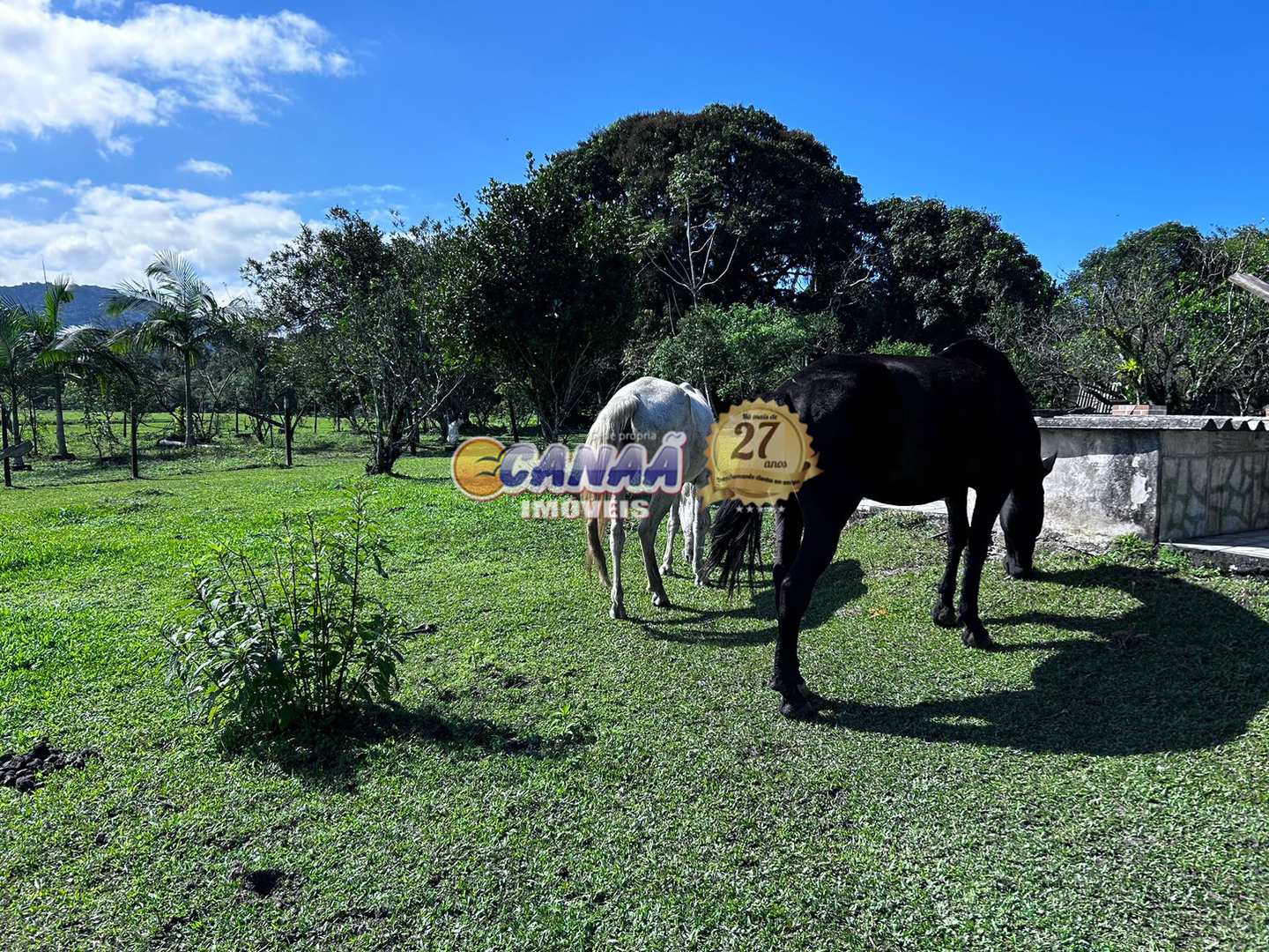 Fazenda à venda com 3 quartos, 24000m² - Foto 70