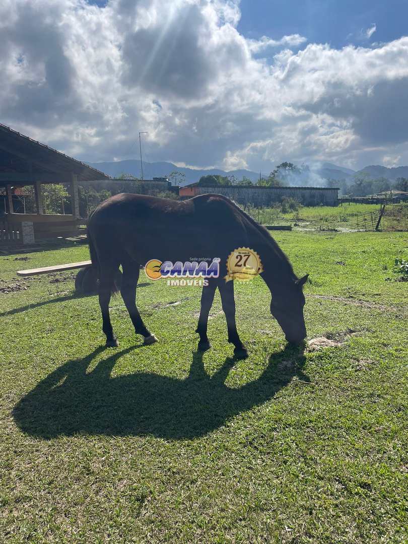 Fazenda à venda com 3 quartos, 24000m² - Foto 61