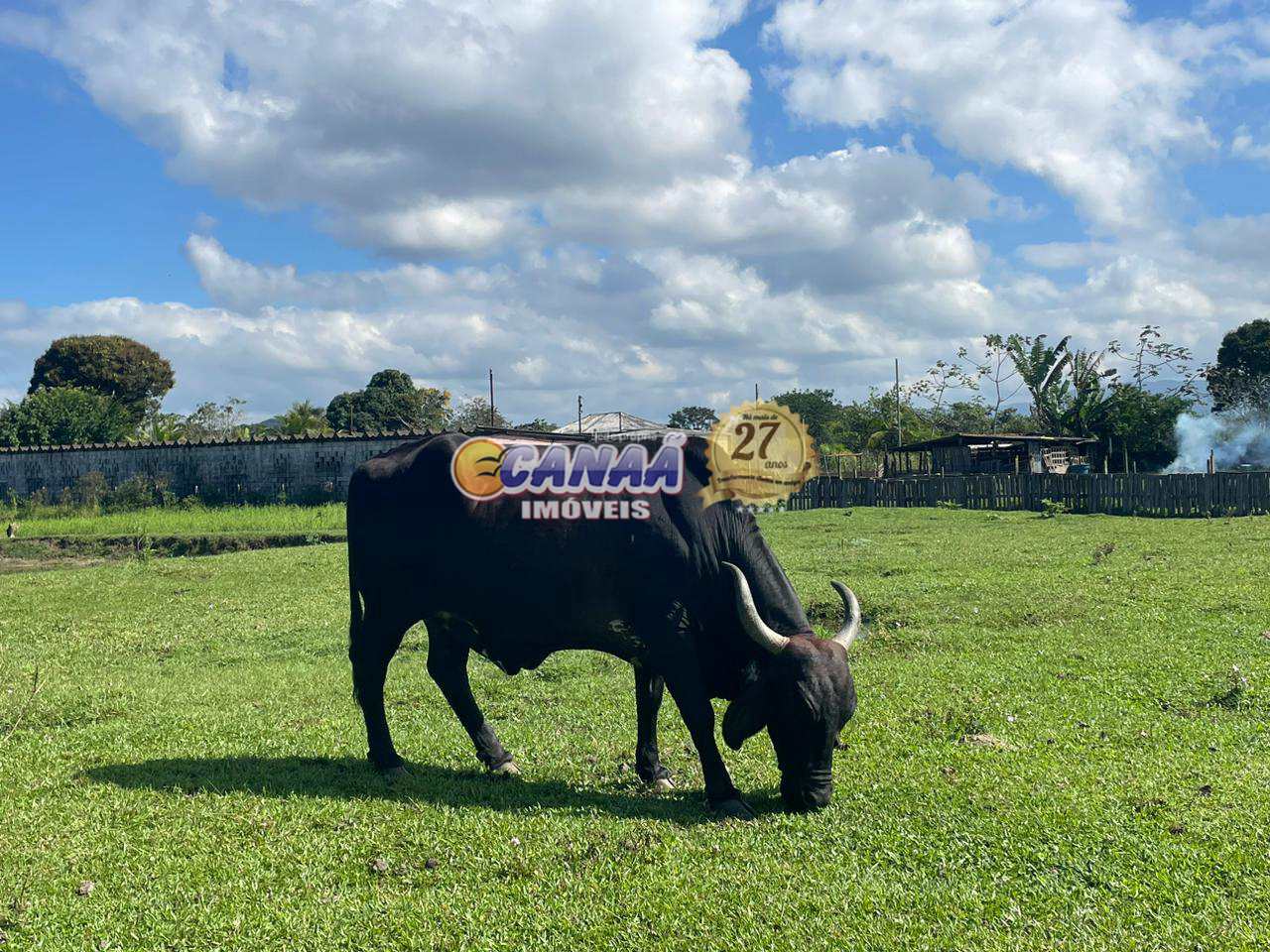 Fazenda à venda com 3 quartos, 24000m² - Foto 69