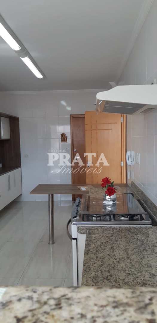 Apartamento para alugar, 102m² - Foto 10