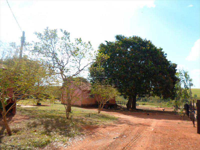 Fazenda à venda com 3 quartos, 18m² - Foto 28