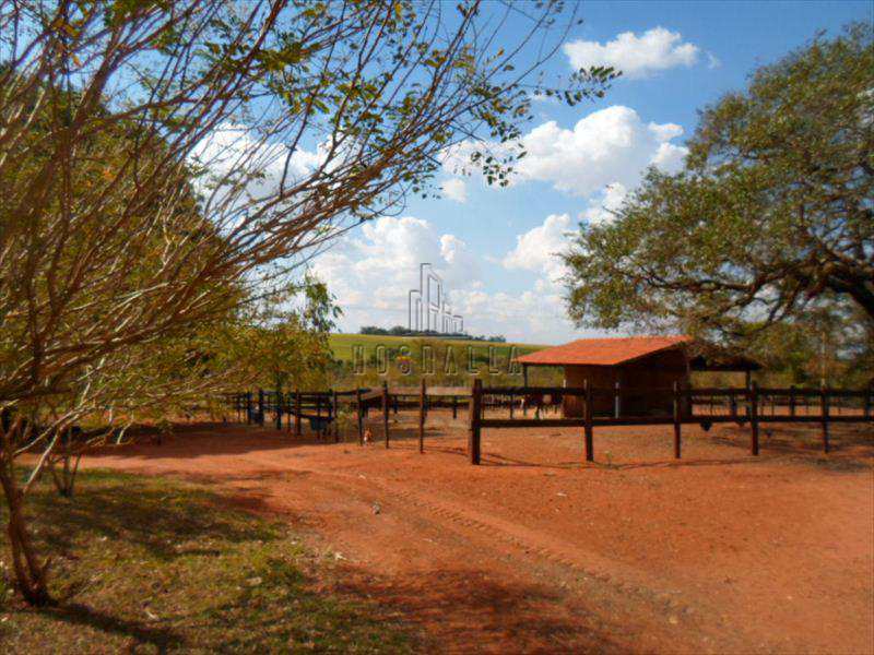 Fazenda à venda com 3 quartos, 18m² - Foto 25