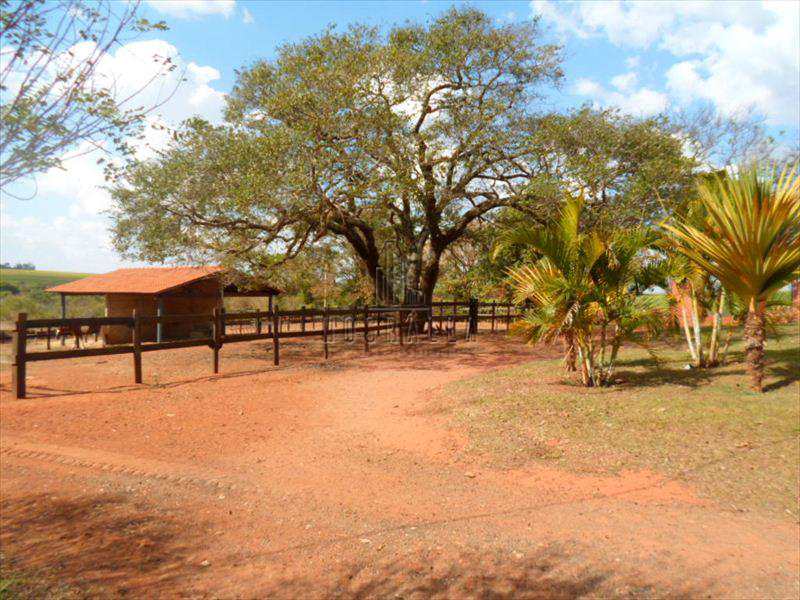 Fazenda à venda com 3 quartos, 18m² - Foto 24