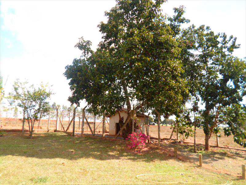 Fazenda à venda com 3 quartos, 18m² - Foto 8