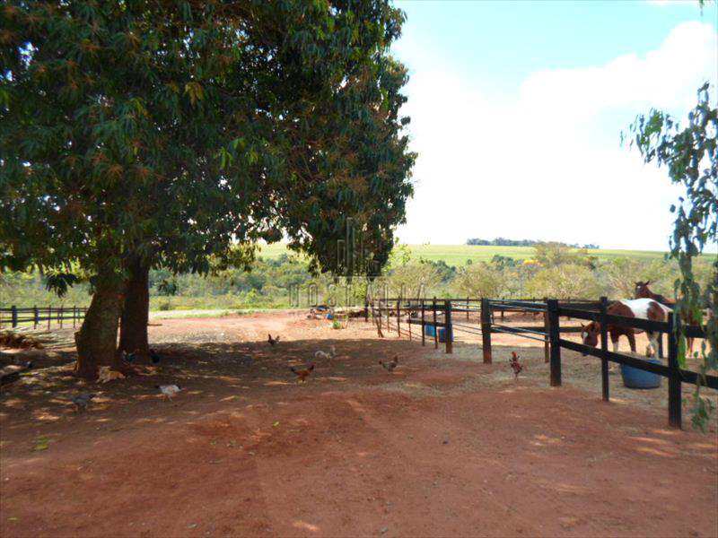 Fazenda à venda com 3 quartos, 18m² - Foto 17