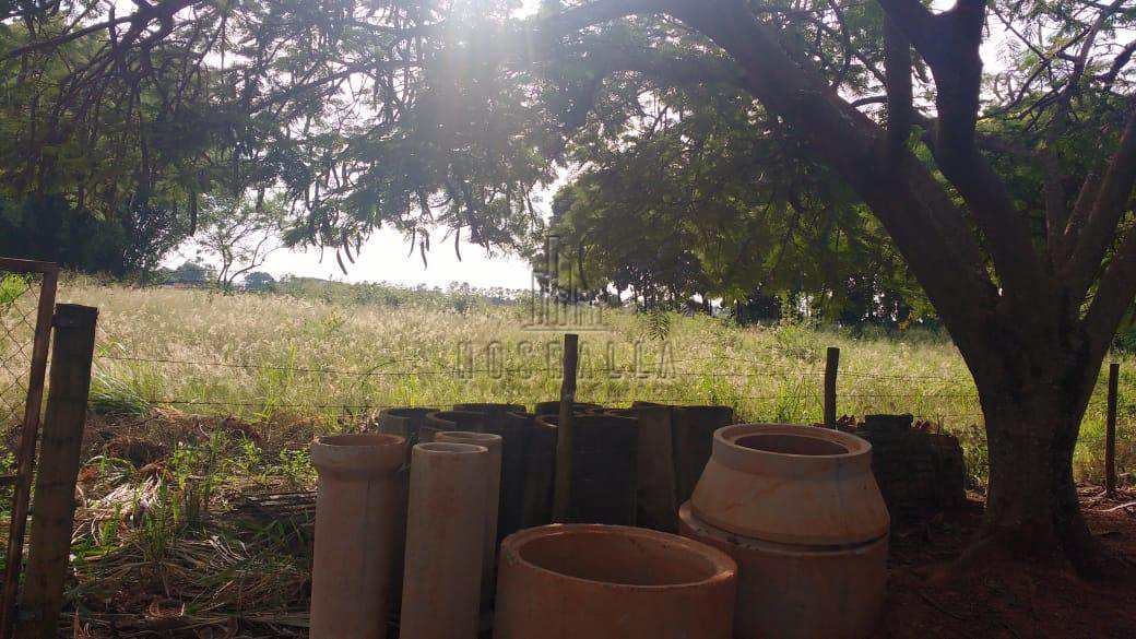 Terreno à venda, 1000m² - Foto 5