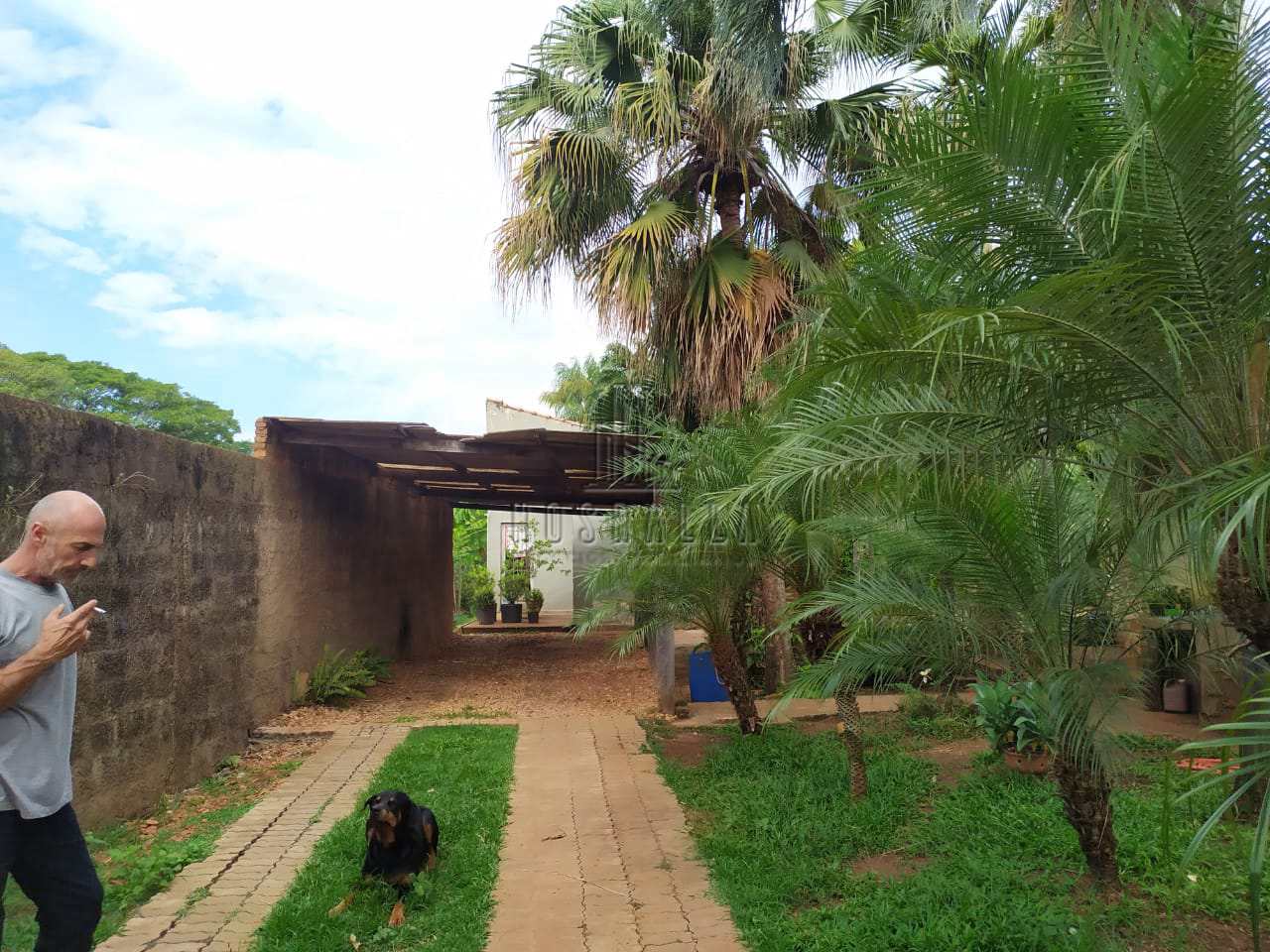 Casa à venda com 3 quartos, 2250m² - Foto 6