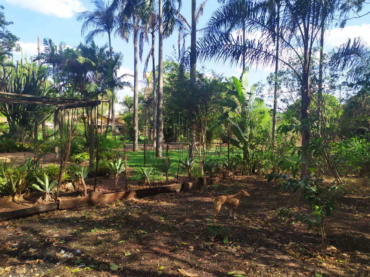 Fazenda à venda com 3 quartos, 5894m² - Foto 64