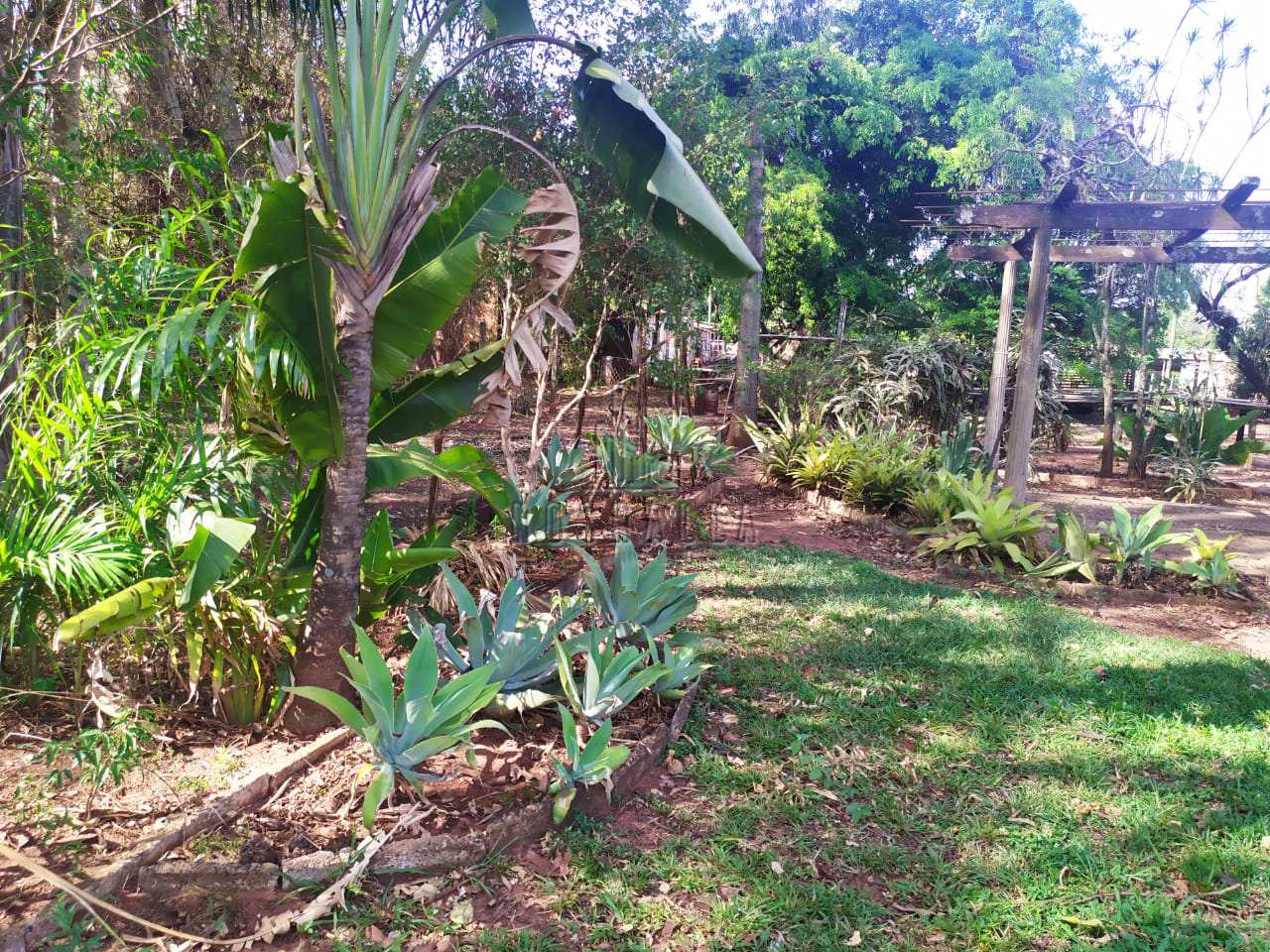 Fazenda à venda com 3 quartos, 5894m² - Foto 65