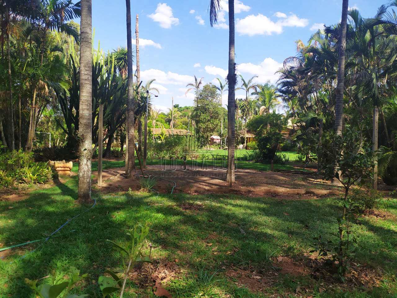 Fazenda à venda com 3 quartos, 5894m² - Foto 66