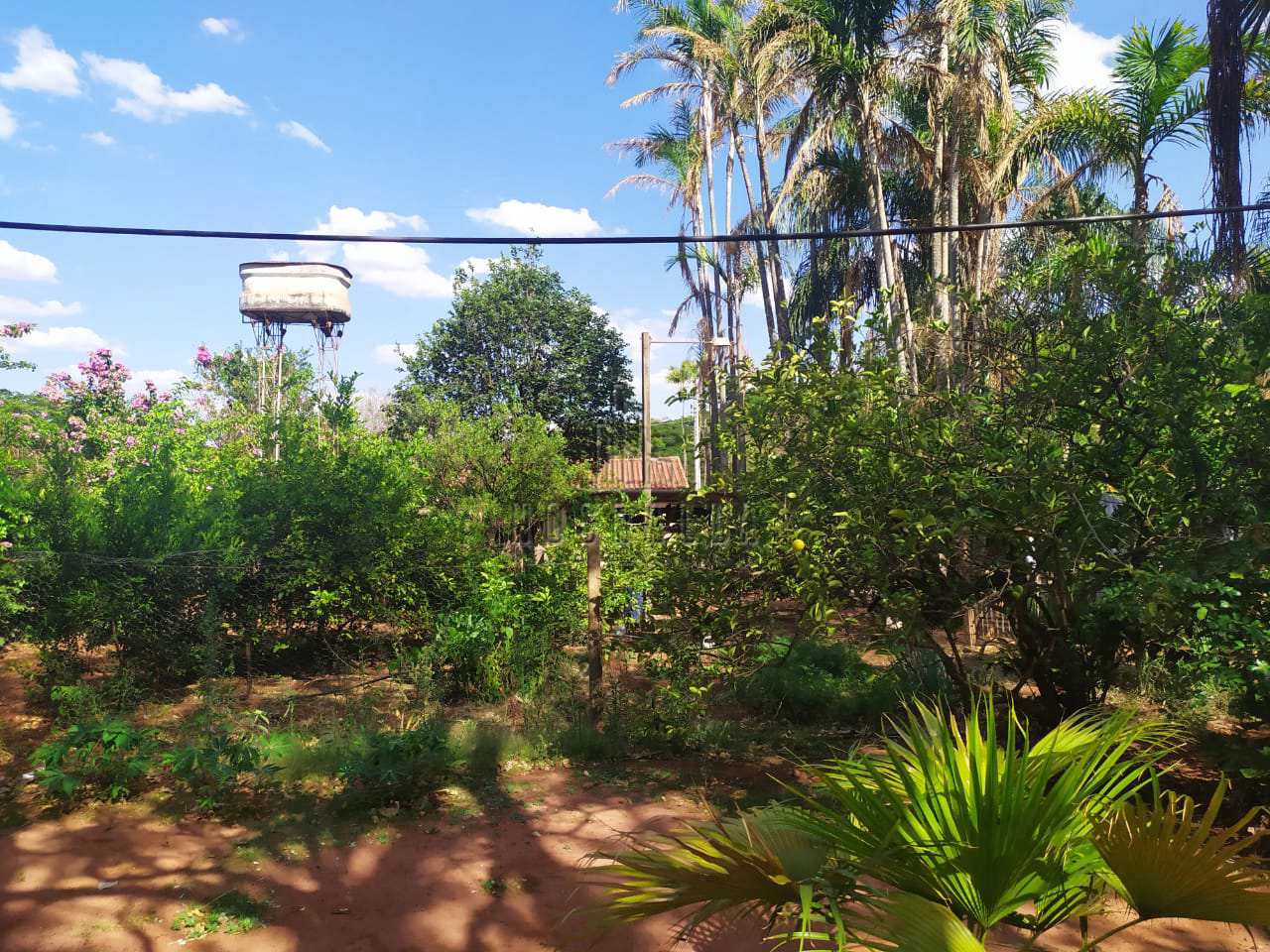 Fazenda à venda com 3 quartos, 5894m² - Foto 58