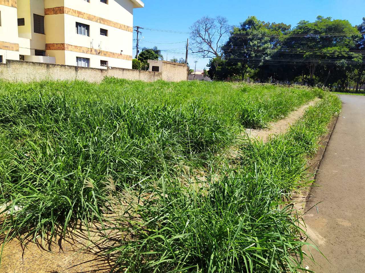 Terreno à venda, 440m² - Foto 3