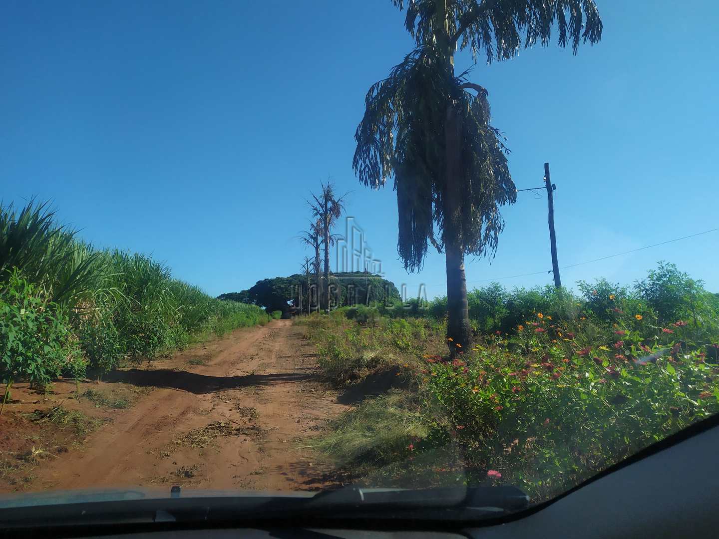 Fazenda à venda com 4 quartos, 30000m² - Foto 3